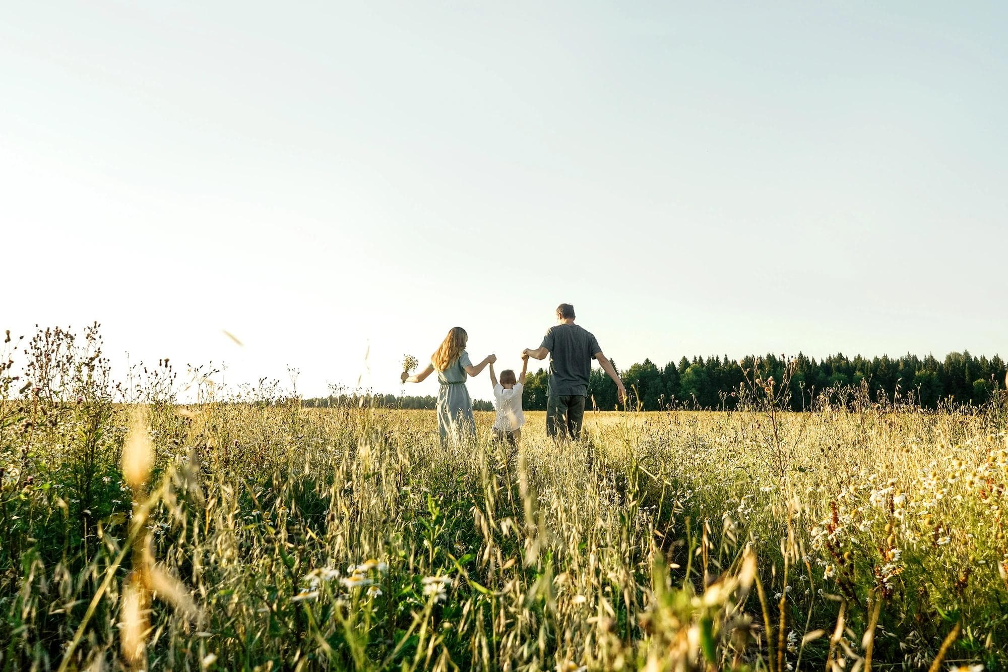 Mother, father and son having fun in field. Rear view.