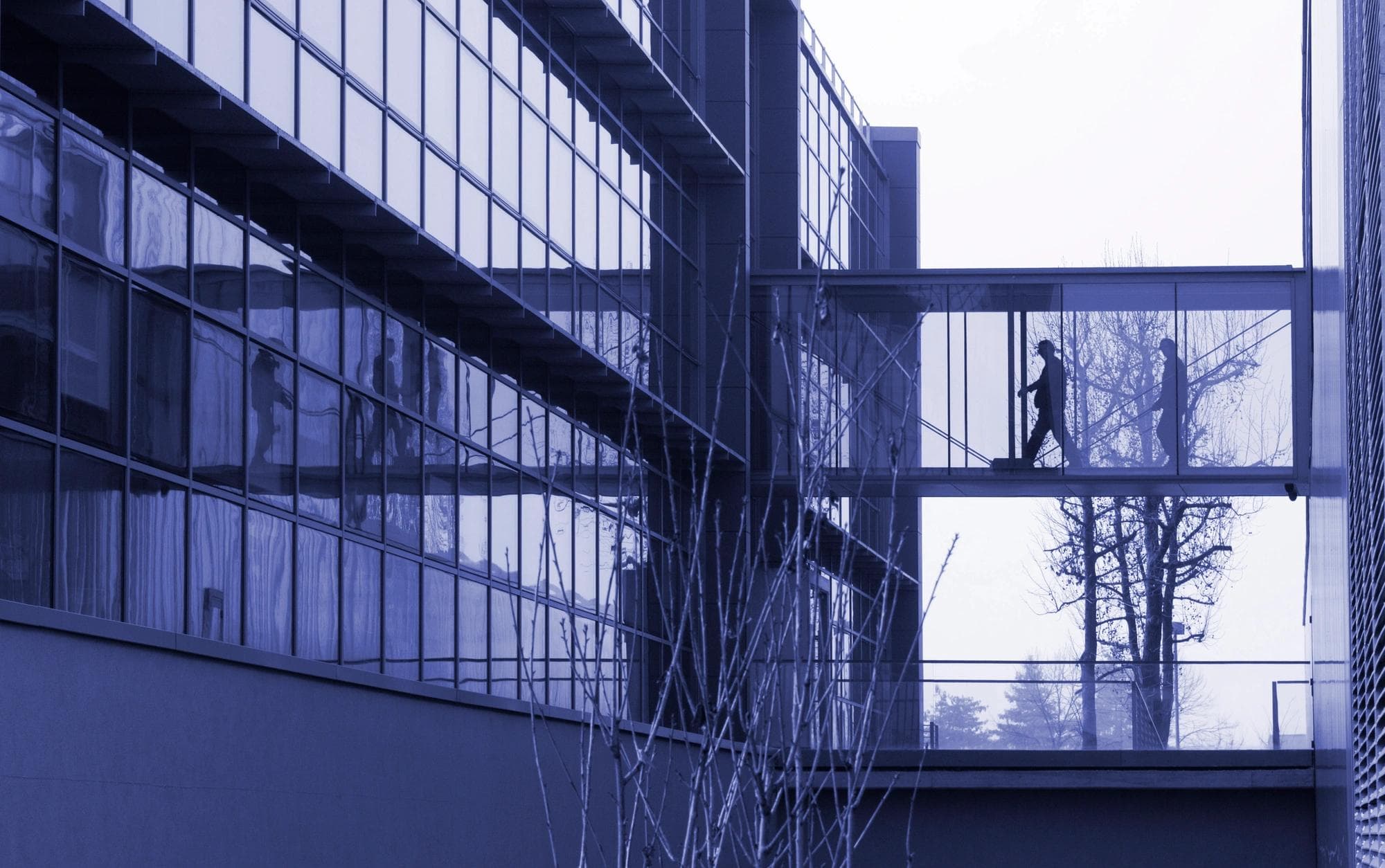 people walking in building