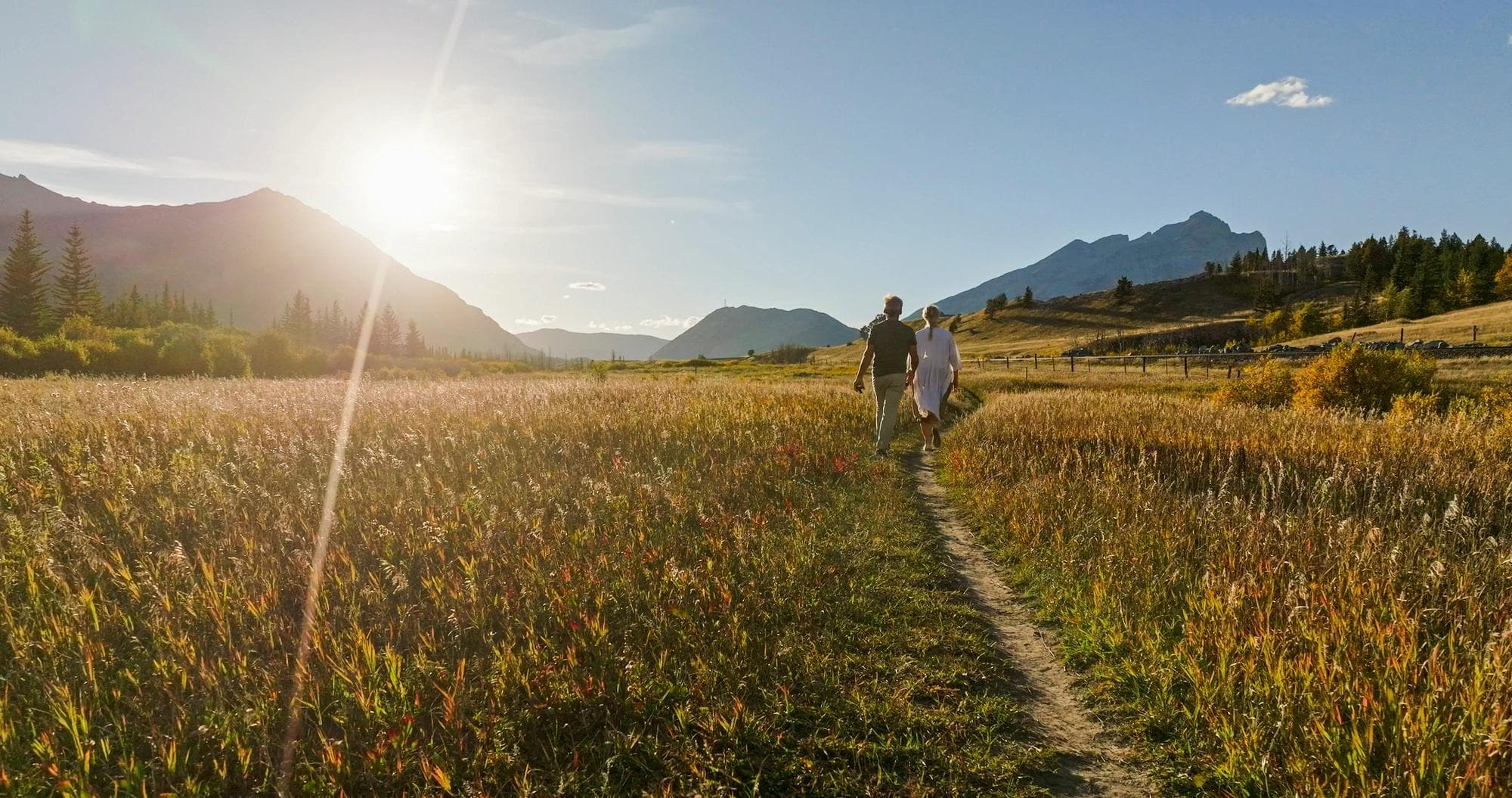 couple walking through sunny meadow