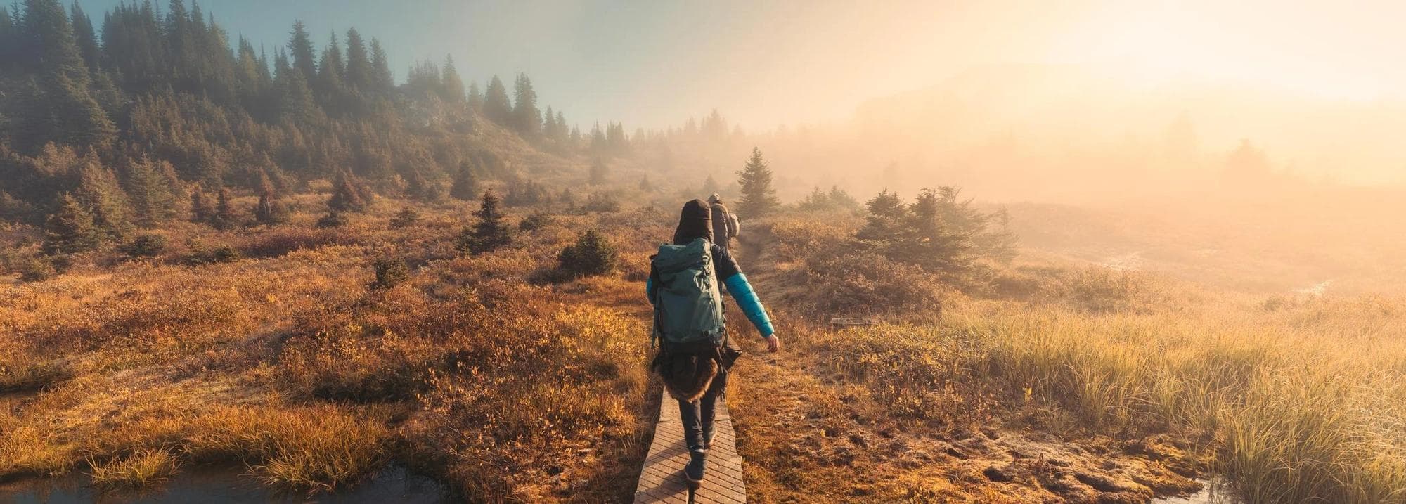 person walking on path through meadow and forest