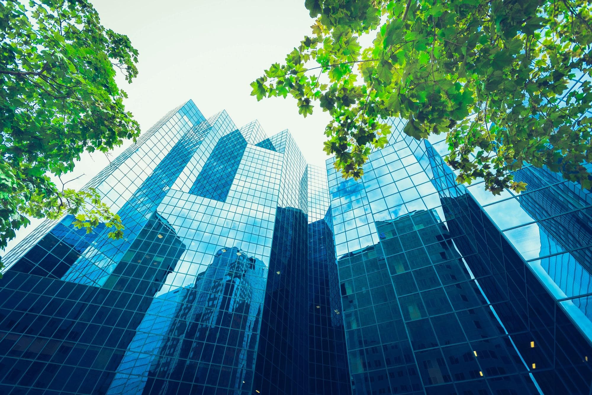 office buildings surrounded by trees