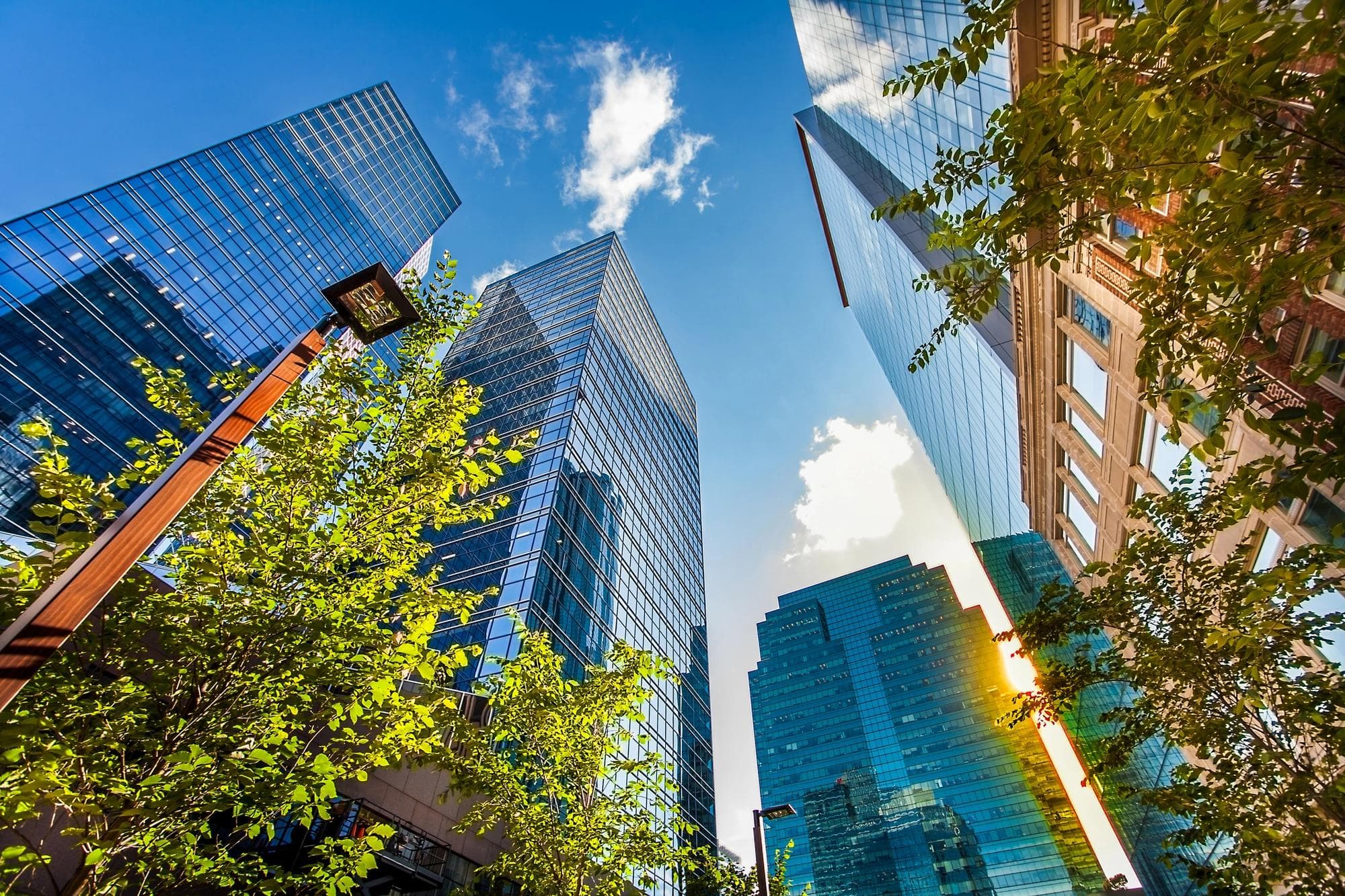 office buildings with trees in foreground