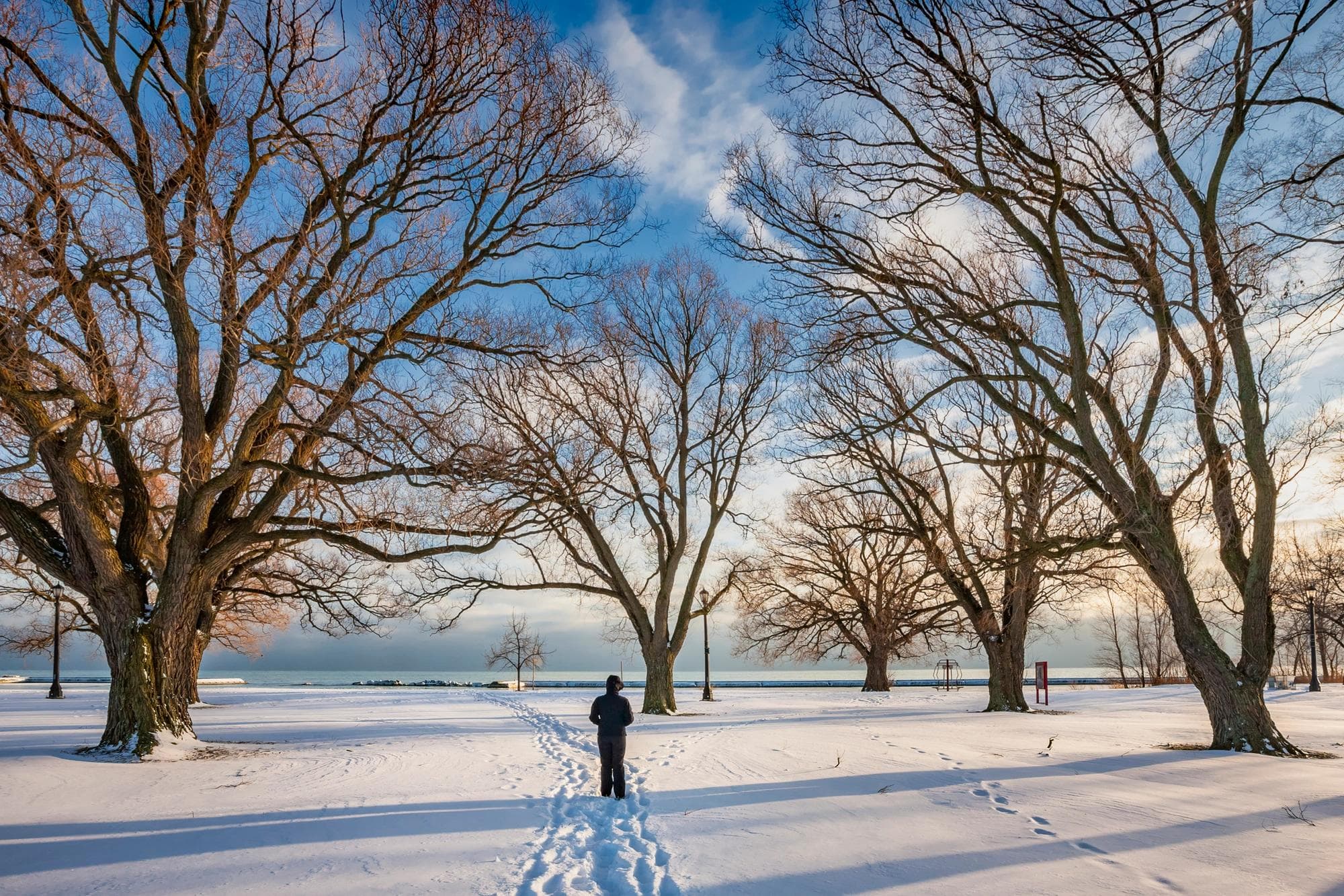 person walking on snowy path near lake