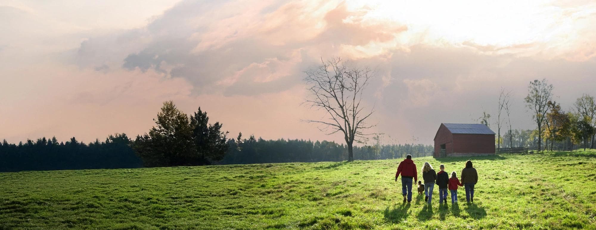 family walking together on the farm