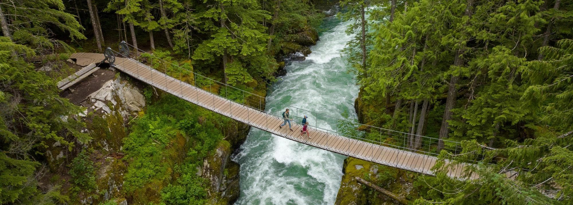 people walking across bridge through the forest