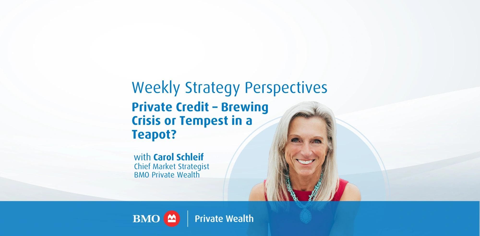 Weekly Strategy Perspectives: Private Credit – Brewing Crisis or Tempest in a Teapot?