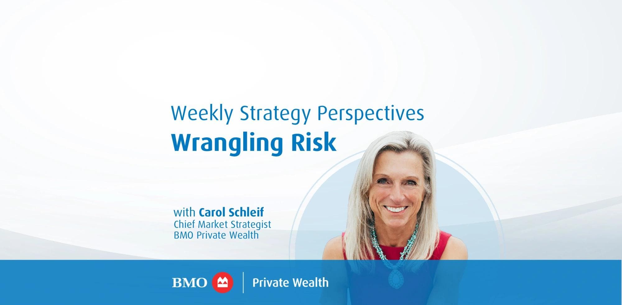 Weekly Strategy Perspectives - Wrangling Risk with Carol Schleif, Chief Market Strategist, BMO Private Wealth